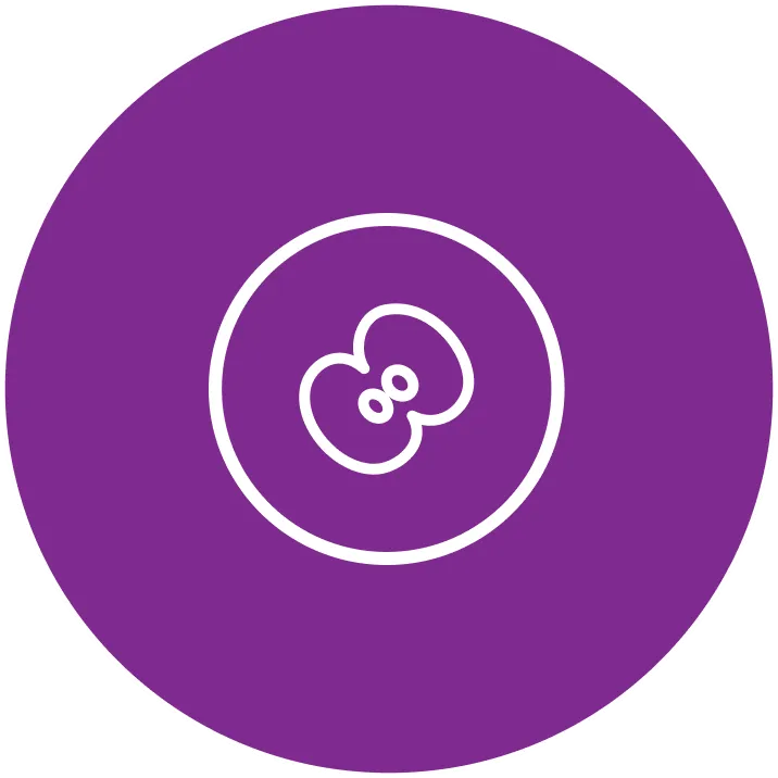 GI Cancer